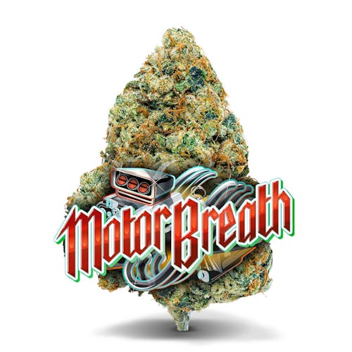 Motor Breath Clone