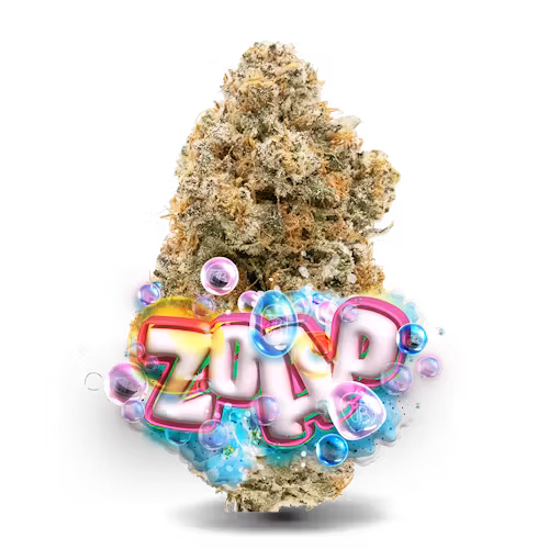 Zoap Clone